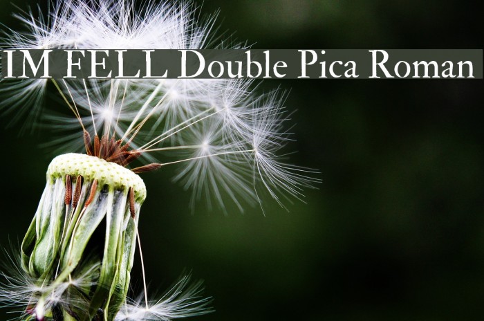 IM FELL Double Pica Roman Font examples