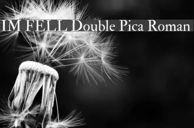 IM FELL Double Pica Roman  Шрифта examples