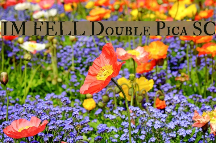 IM FELL Double Pica SC Font examples