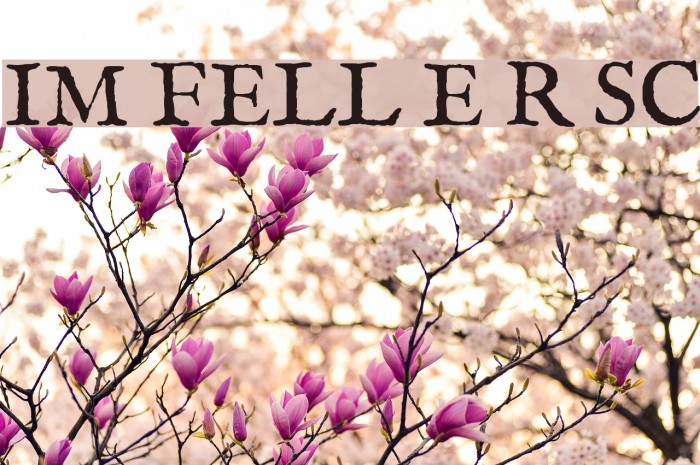 IM FELL English Roman SC Font examples