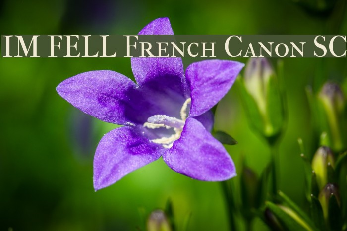IM FELL French Canon SC Font examples