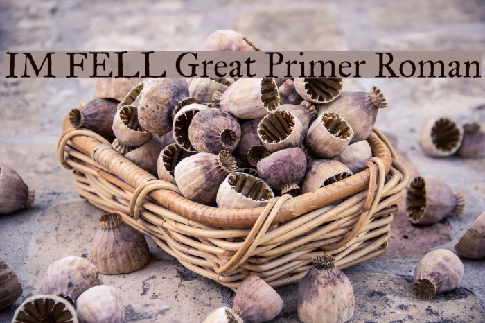 IM FELL Great Primer Roman Font examples