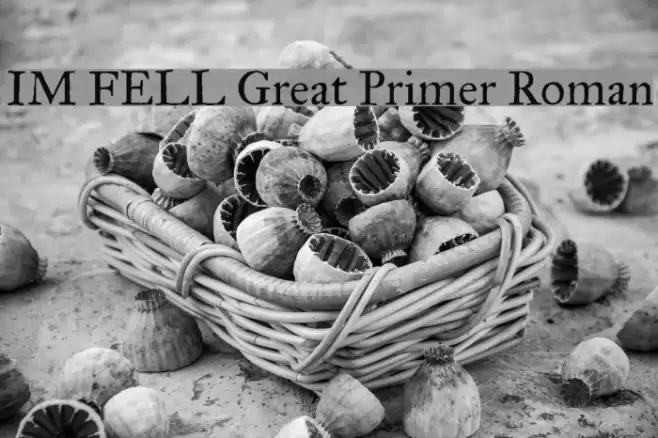 IM FELL Great Primer Roman Font examples
