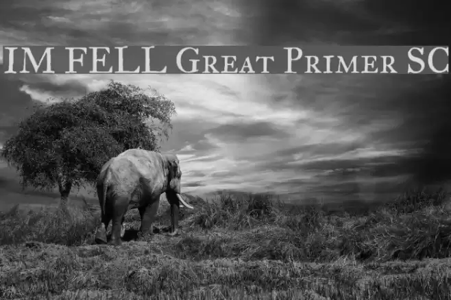 IM FELL Great Primer SC Font examples