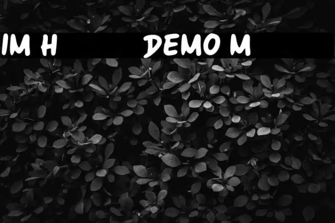 IM Handy DEMO Marker Font examples