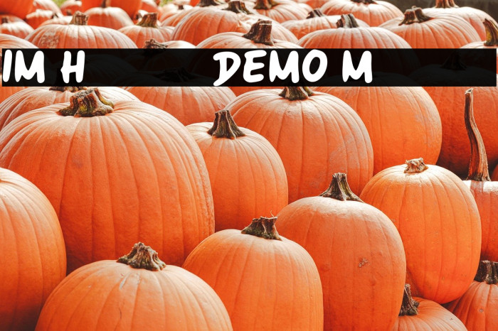 IM Handy DEMO Marker Example 3