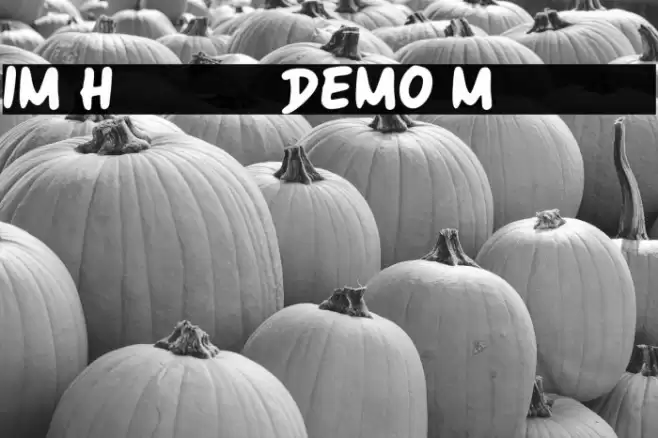 IM Handy DEMO Marker Font examples