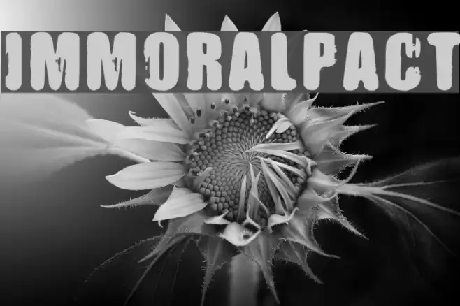 IMMORAL PACT Font examples