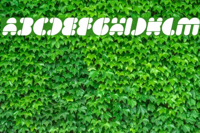 IMPULSE OF HEART Bold Italic Example 3