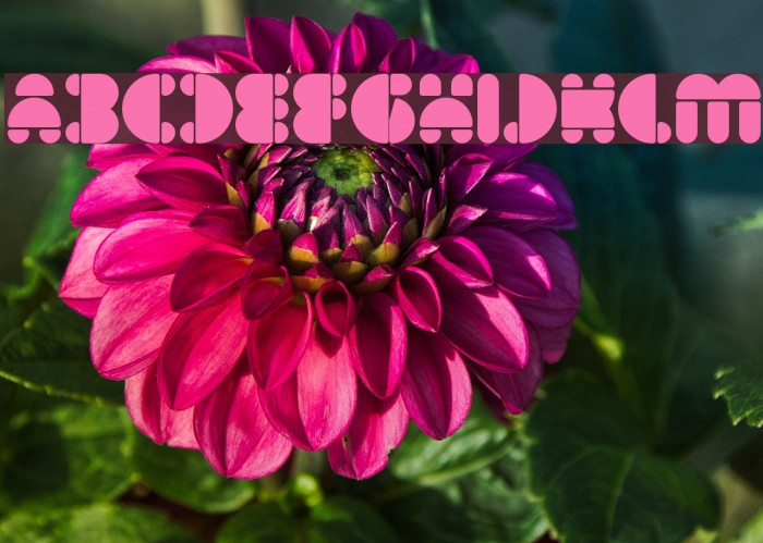 IMPULSE OF HEART Bold Font examples