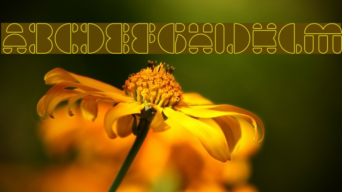 IMPULSE OF HEART-Hollow Font examples