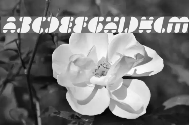 IMPULSE OF HEART Italic Font examples