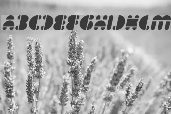 IMPULSE OF HEART Italic Font examples