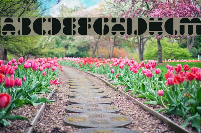 IMPULSE OF HEART-Light Font examples