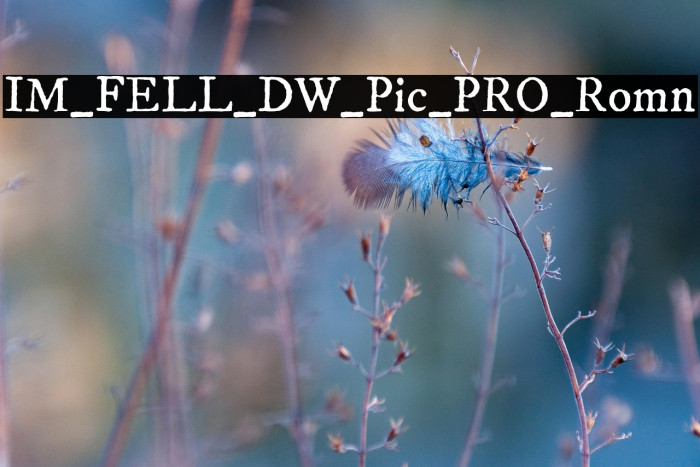 IM_FELL_DW_Pica_PRO_Roman Example 2