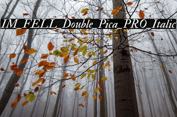 IM_FELL_Double_Pica_PRO_Italic Example 1