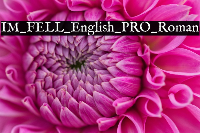 IM_FELL_English_PRO_Roman Example 1