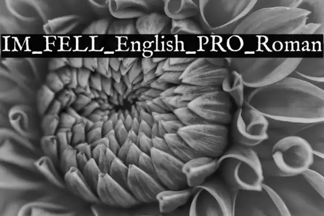 IM_FELL_English_PRO_Roman Font examples