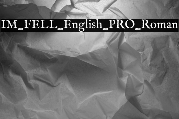 IM_FELL_English_PRO_Roman Example 2