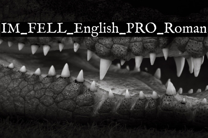 IM_FELL_English_PRO_Roman Example 3