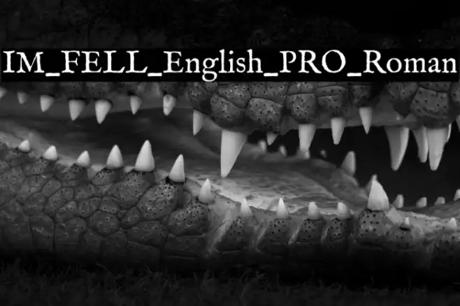 IM_FELL_English_PRO_Roman Font examples