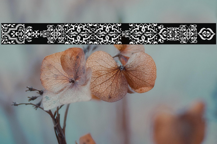 IM_FELL_FLOWERS_1 Example 1