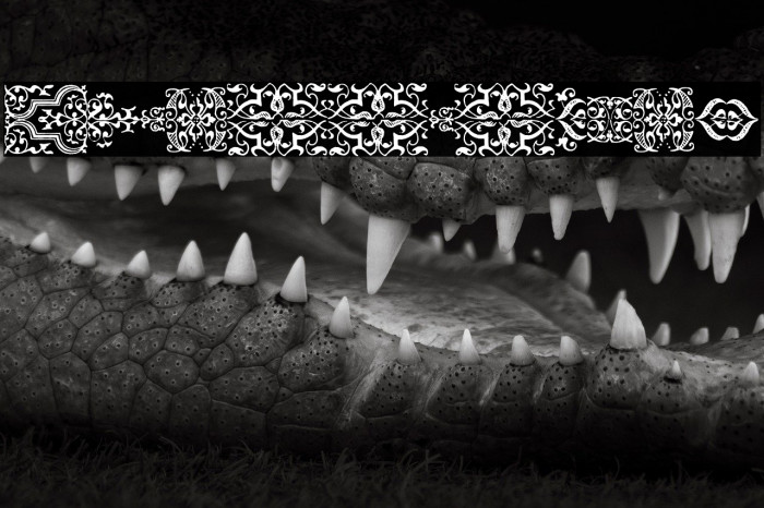 IM_FELL_FLOWERS_1 Example 3