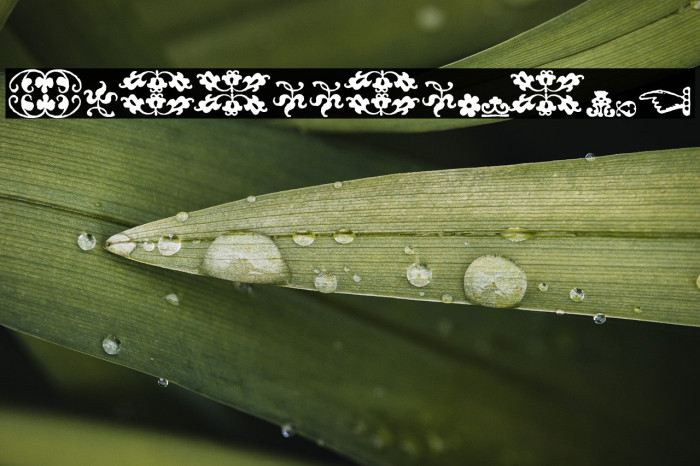 IM_FELL_FLOWERS_2 Example 2