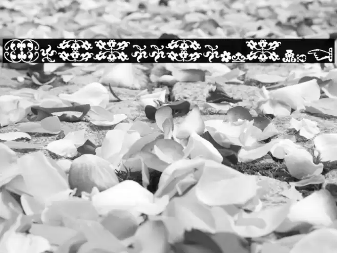 IM_FELL_FLOWERS_2 Font examples