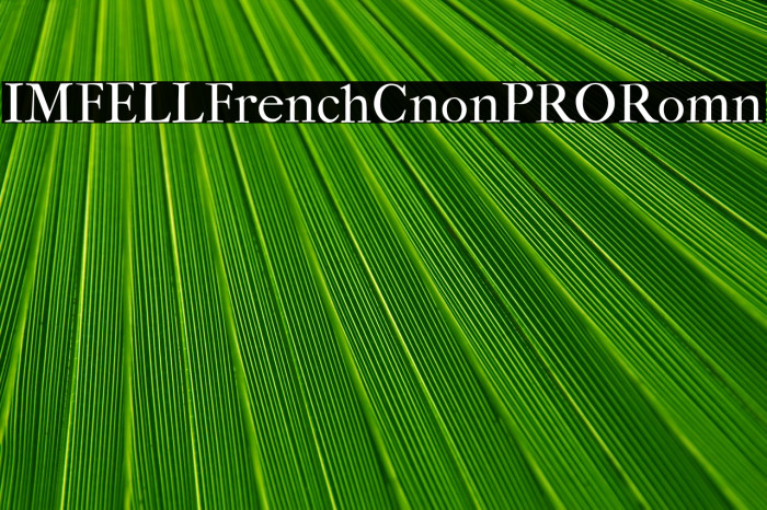 IM_FELL_French_Canon_PRO_Roman Example 1