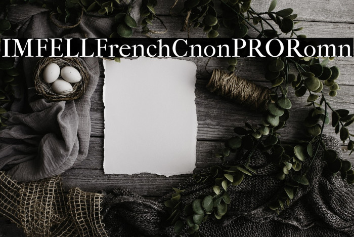 IM_FELL_French_Canon_PRO_Roman Example 2