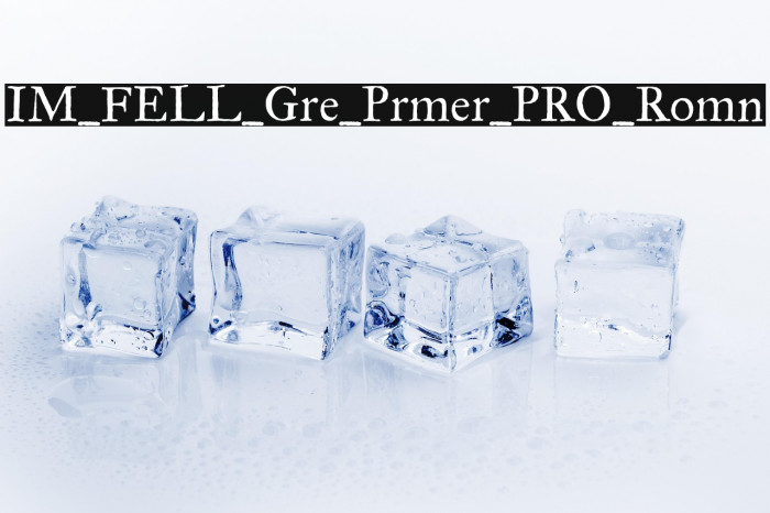 IM_FELL_Great_Primer_PRO_Roman Example 2