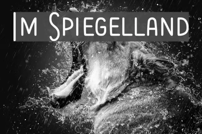 Im Spiegelland Font examples