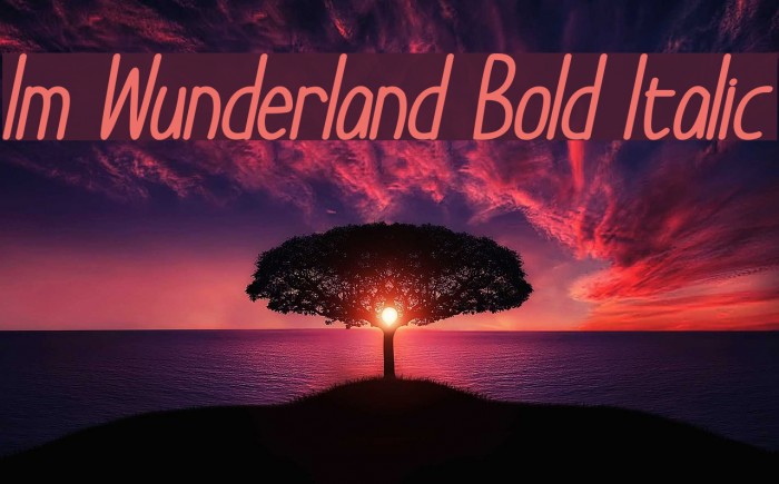 Im Wunderland Bold Italic Font examples