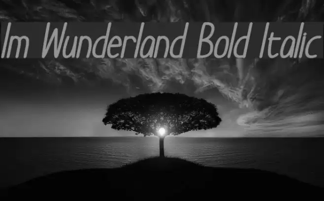 Im Wunderland Bold Italic Font examples