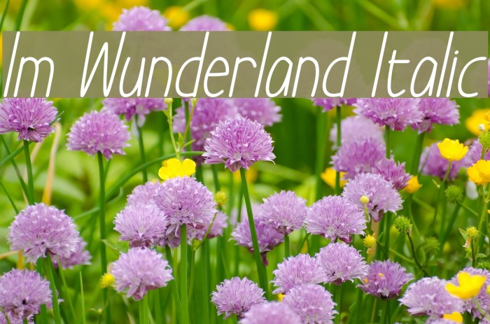 Im Wunderland Italic Font examples