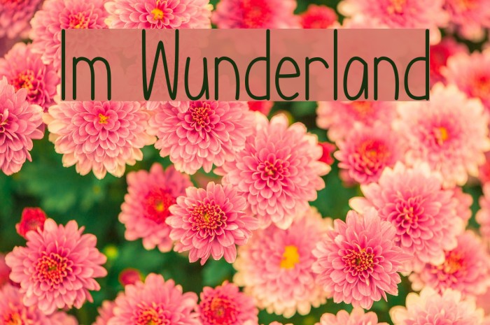 Im Wunderland Example 1