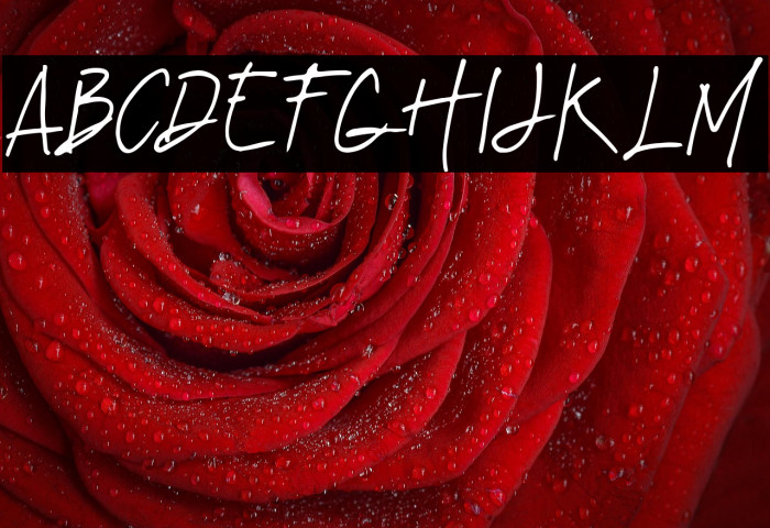 Imaginate Link Example 2