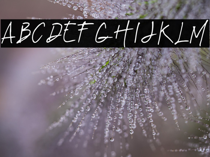 Imaginate Link Example 3