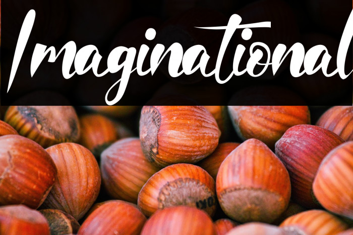 Imaginational Example 1