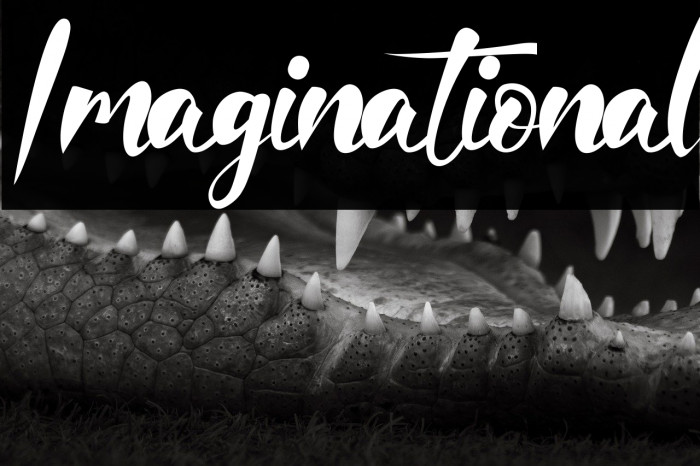 Imaginational Example 3