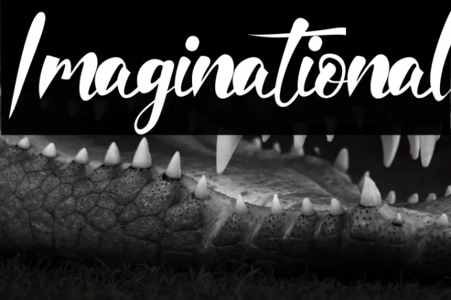 Imaginational Example 3