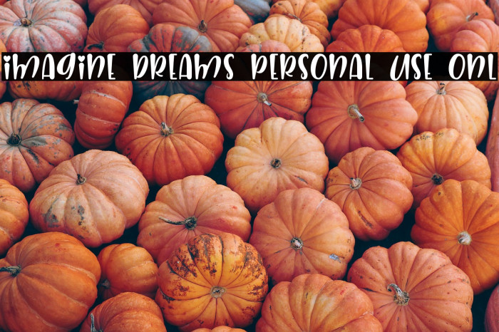 Imagine Dreams Personal Use Onl Example 3