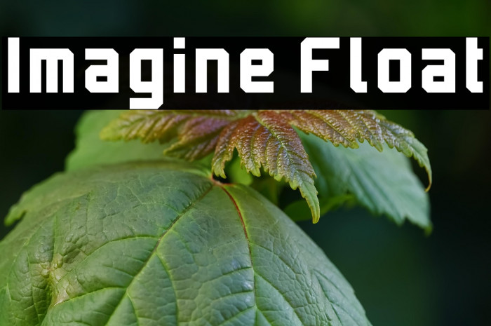 Imagine Float Example 1