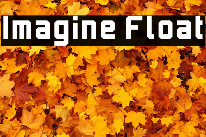 Imagine Float Example 3