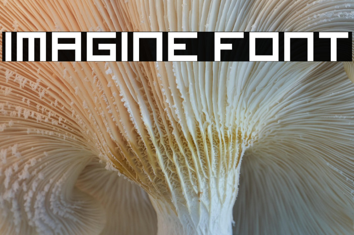Imagine Font Example 3