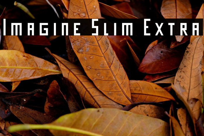 Imagine Slim Extra Example 1