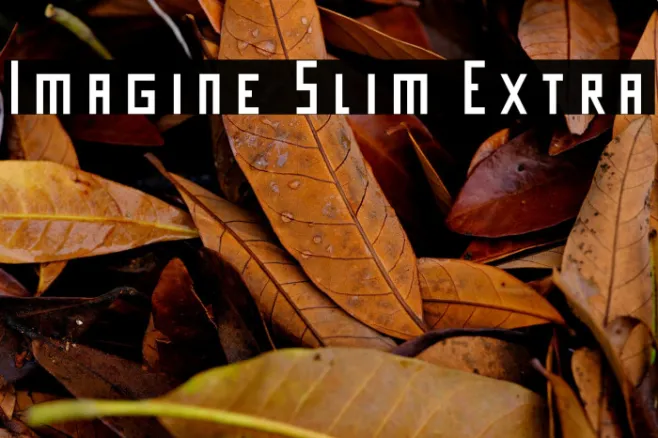 Imagine Slim Extra Example 1