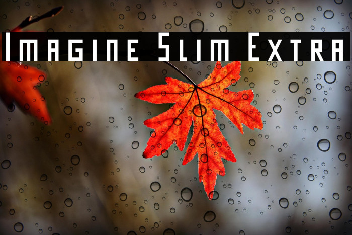 Imagine Slim Extra Example 2