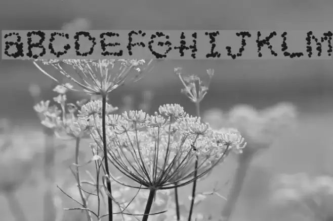 Imaginer Font examples